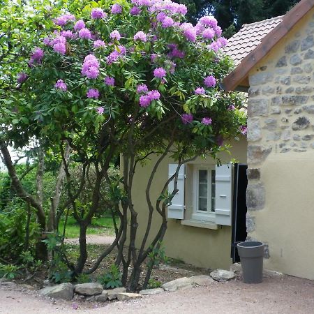 Le Cedre Enchante La Guiche Exteriör bild
