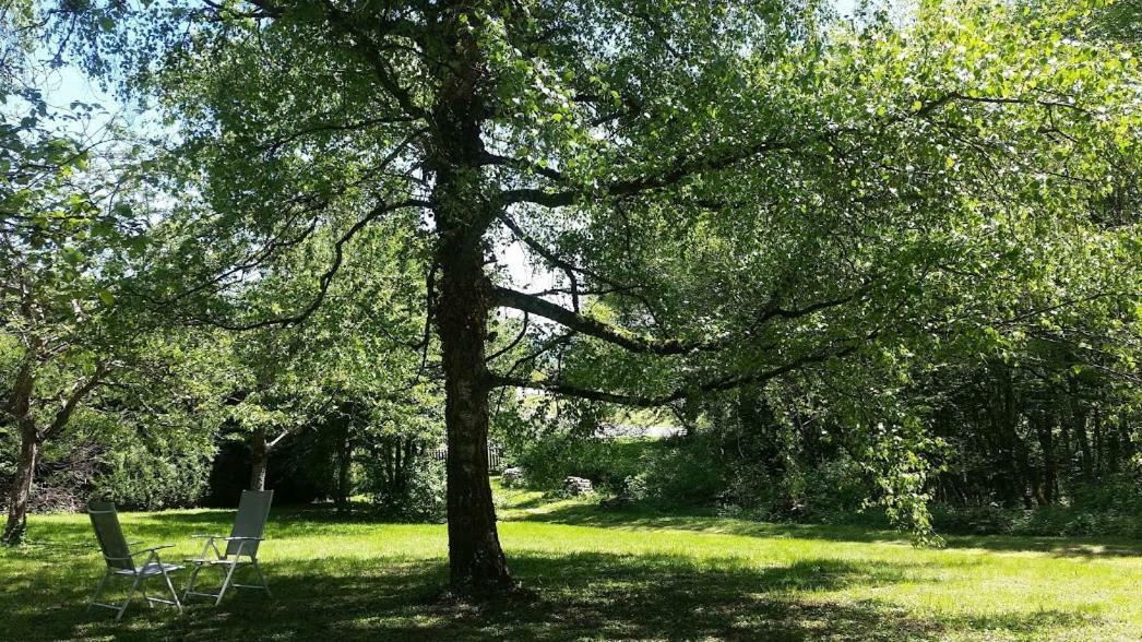 Le Cedre Enchante La Guiche Exteriör bild