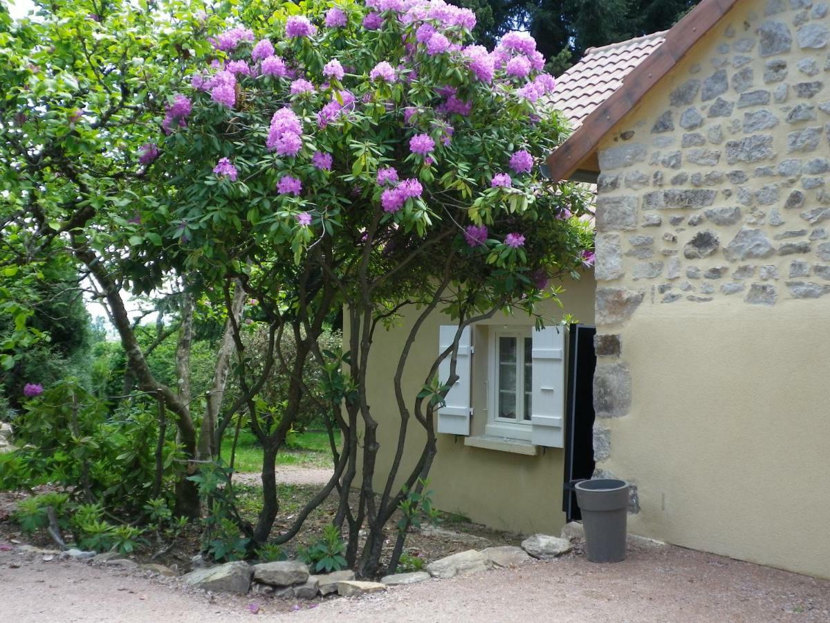Le Cedre Enchante La Guiche Exteriör bild